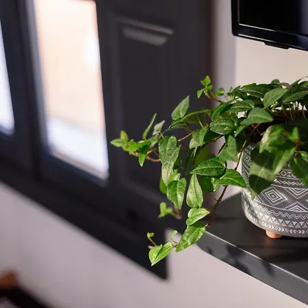 Firalia, Casa In Rock *