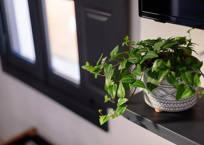 Firalia, Casa In Rock *